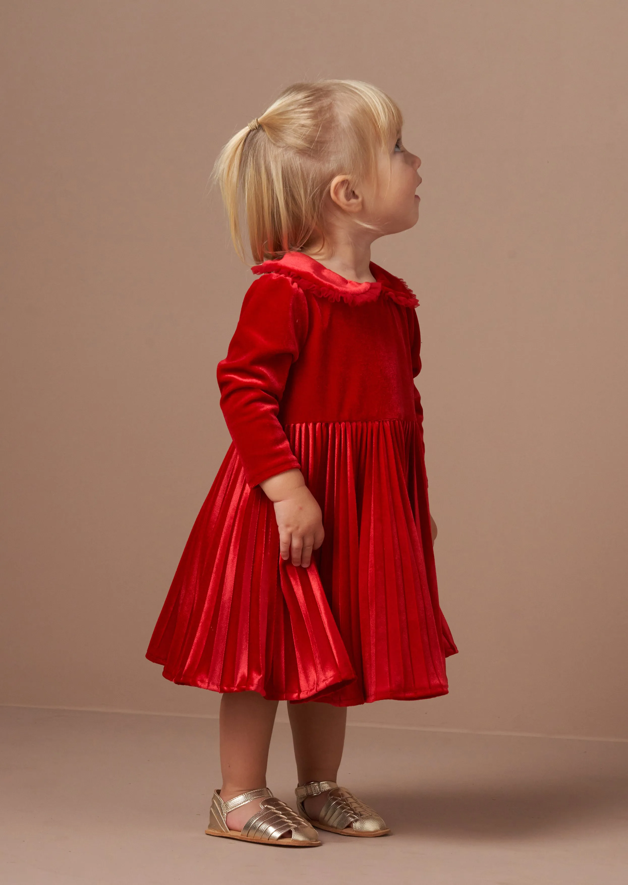 Charlotte Red Velvet Dress