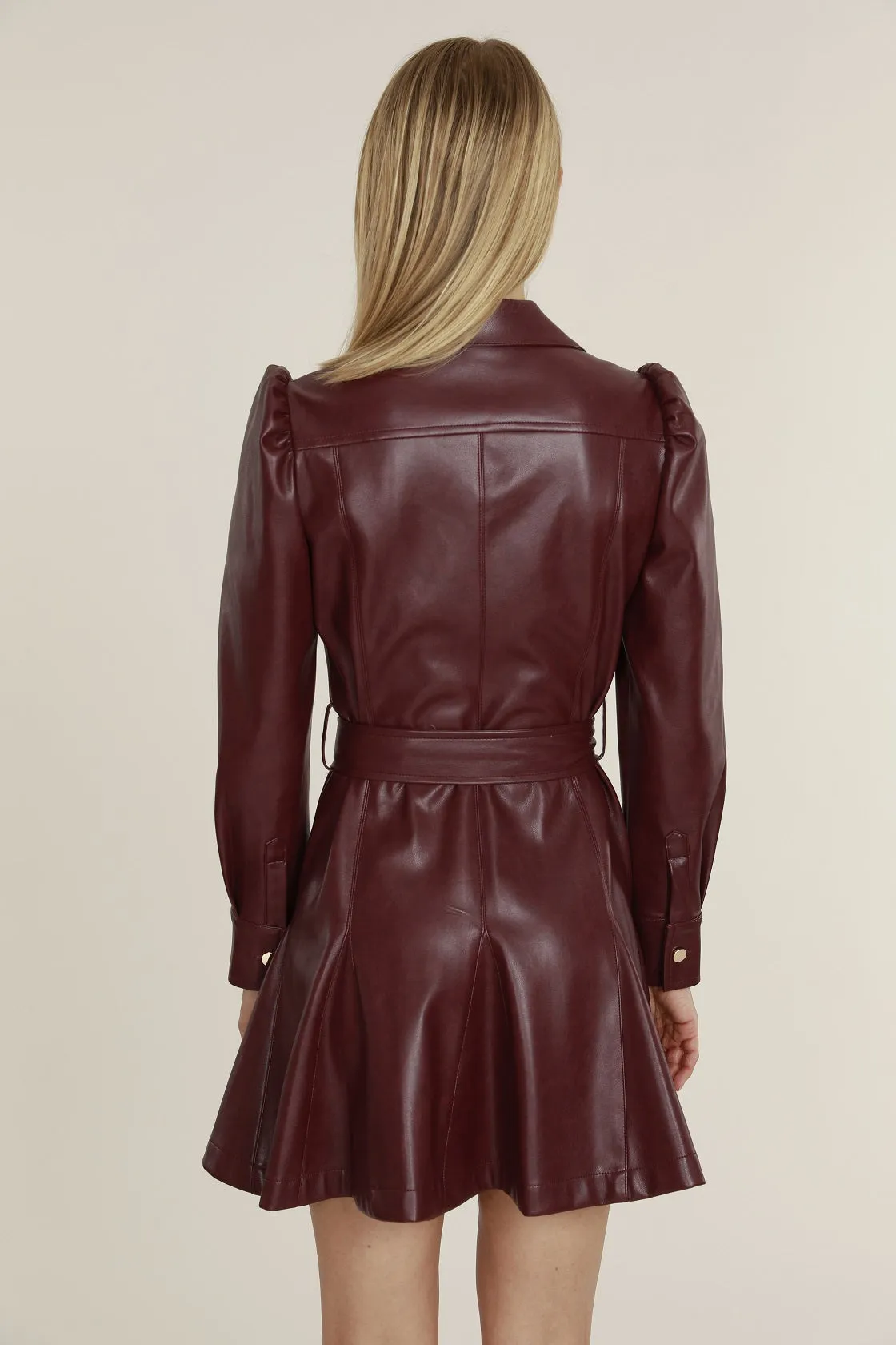 Faux Leather Belted Dress